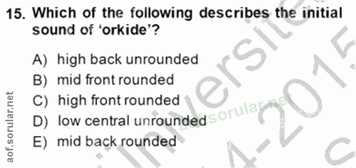Soru 15