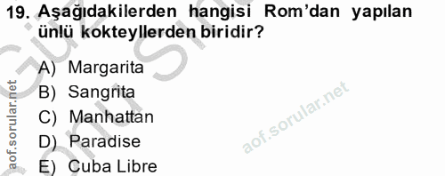 Soru 19
