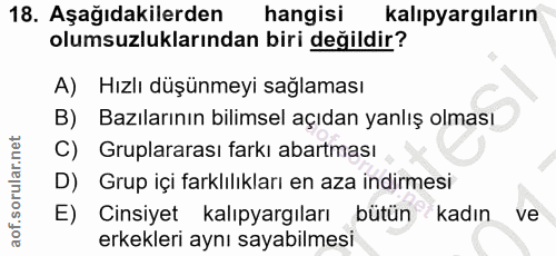 Soru 18