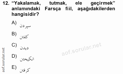 Soru 12