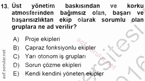 Soru 13