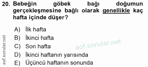 Soru 20
