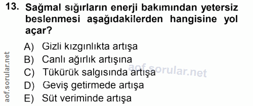 Soru 13