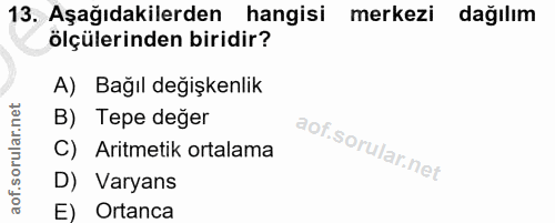 Soru 13