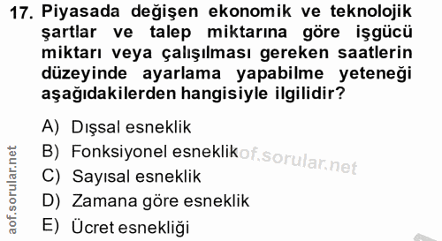 Soru 17