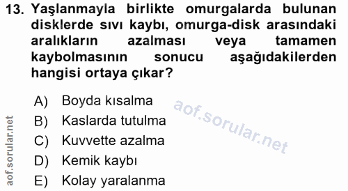 Soru 13