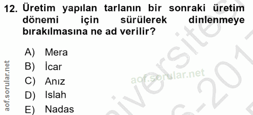 Soru 12
