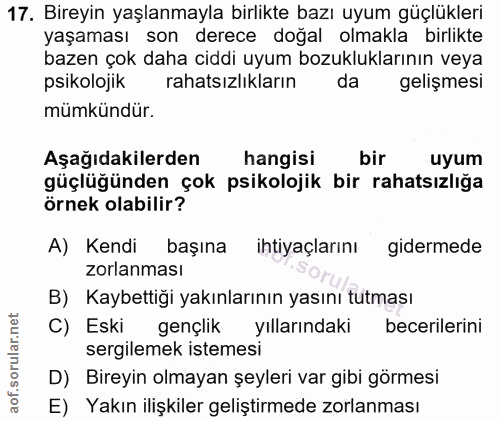 Soru 17