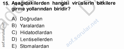 Soru 15