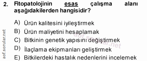 Soru 2