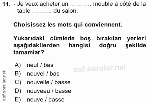 Soru 11