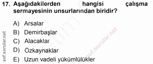 Soru 17