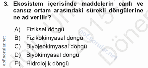 Soru 3