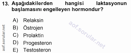 Soru 13