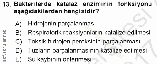 Soru 13