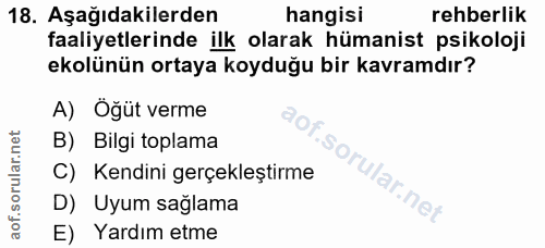 Soru 18