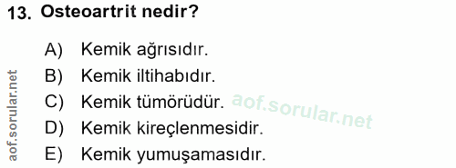 Soru 13