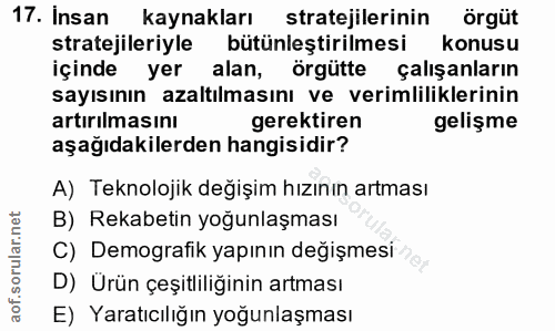 Soru 17