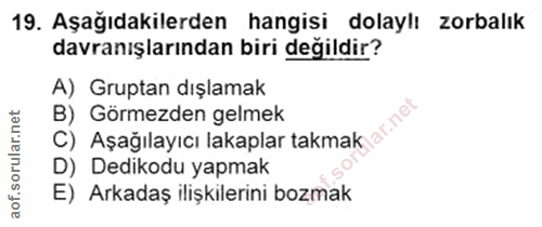 Soru 19