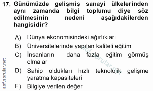 Soru 17