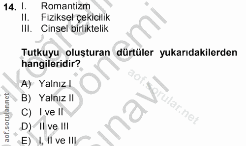 Soru 14