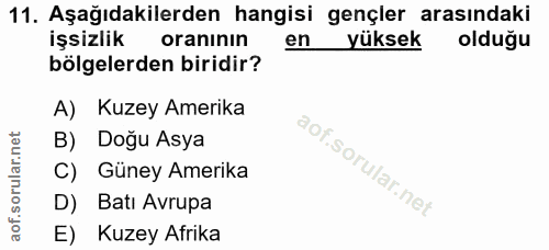 Soru 11