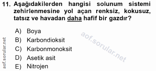 Soru 11