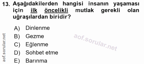 Soru 13