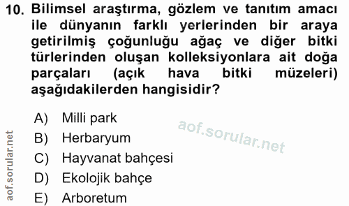 Soru 10