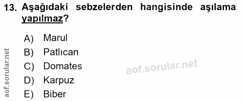 Soru 13