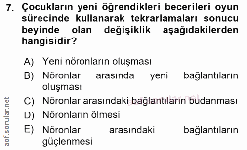 Soru 7