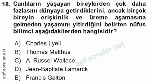 Soru 18