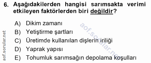 Soru 6