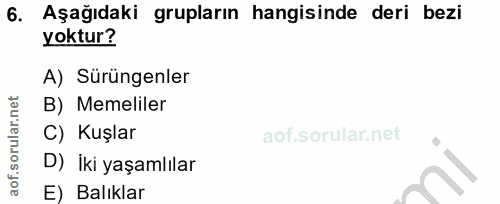 Soru 6