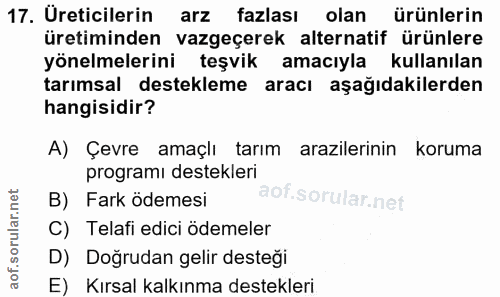 Soru 17