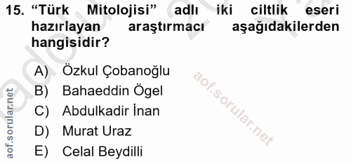 Soru 15