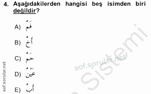 Soru 4