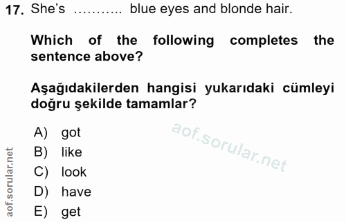 Soru 17