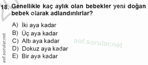 Soru 18