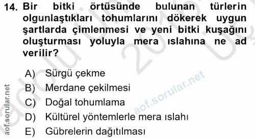 Soru 14