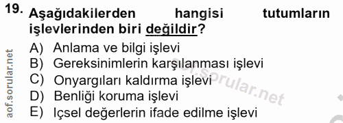 Soru 19
