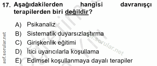 Soru 17