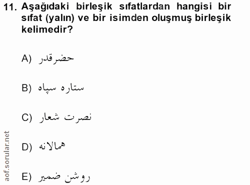 Soru 11