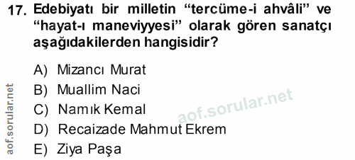 Soru 17