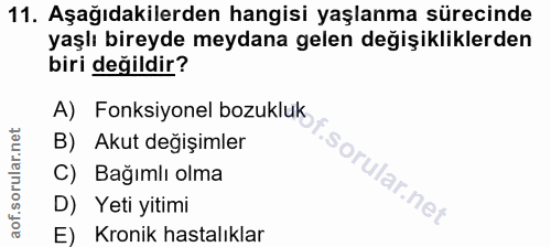Soru 11
