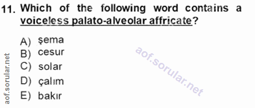 Soru 11