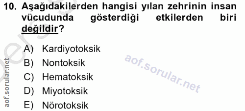 Soru 10