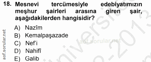 Soru 18