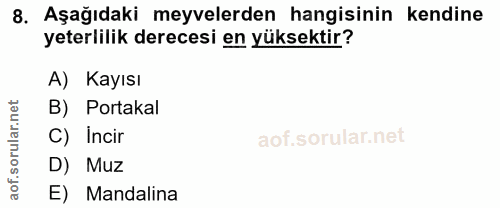Soru 8