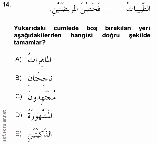 Soru 14